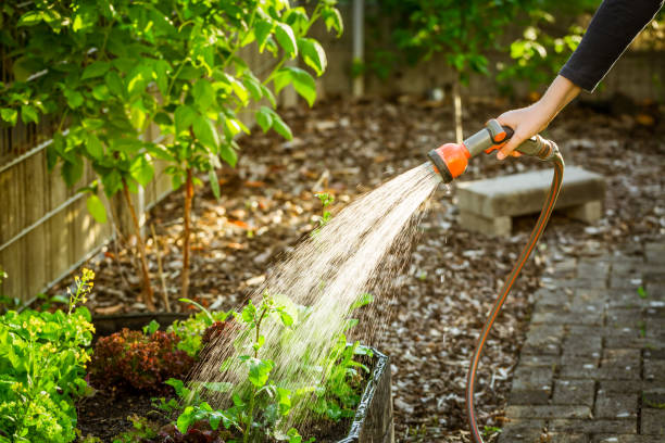 regando el jardín